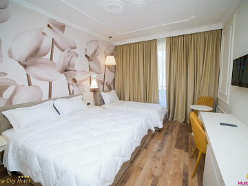 HOTEL REGINA CITY 